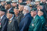 Royal Green Jackets (Group A2, 153 members) during the Royal British Legion March Past on Remembrance Sunday at the Cenotaph, Whitehall, Westminster, London, 11 November 2018, 11:55.