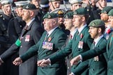 The Rifles Regimental Association (Group A3, 21 members) during the Royal British Legion March Past on Remembrance Sunday at the Cenotaph, Whitehall, Westminster, London, 11 November 2018, 11:56.