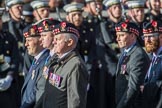 Royal Regiment of Scotland (Group A7, 15 members) during the Royal British Legion March Past on Remembrance Sunday at the Cenotaph, Whitehall, Westminster, London, 11 November 2018, 11:56.