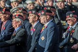 The Royal Scots Regimental Association (Group A8, 25 members) during the Royal British Legion March Past on Remembrance Sunday at the Cenotaph, Whitehall, Westminster, London, 11 November 2018, 11:56.