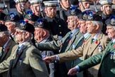 Queen's Own Highlanders Regimental Association (Group A11, 55 members) during the Royal British Legion March Past on Remembrance Sunday at the Cenotaph, Whitehall, Westminster, London, 11 November 2018, 11:57.