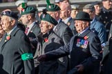 Combined Irish Regiments Association (Group A36, 34 members)  during the Royal British Legion March Past on Remembrance Sunday at the Cenotaph, Whitehall, Westminster, London, 11 November 2018, 12:02.