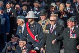 Blind Veterans UK (Group AA7, 215 members) during the Royal British Legion March Past on Remembrance Sunday at the Cenotaph, Whitehall, Westminster, London, 11 November 2018, 12:04.