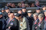 Blind Veterans UK (Group AA7, 215 members) during the Royal British Legion March Past on Remembrance Sunday at the Cenotaph, Whitehall, Westminster, London, 11 November 2018, 12:04.