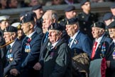 Royal Signals Association (Group B6, 49 members) during the Royal British Legion March Past on Remembrance Sunday at the Cenotaph, Whitehall, Westminster, London, 11 November 2018, 12:07.