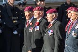The Parachute Squadron Royal Armoured Corps (Group B28, 19 members) during the Royal British Legion March Past on Remembrance Sunday at the Cenotaph, Whitehall, Westminster, London, 11 November 2018, 12:12.