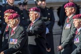 The Parachute Squadron Royal Armoured Corps (Group B28, 19 members) during the Royal British Legion March Past on Remembrance Sunday at the Cenotaph, Whitehall, Westminster, London, 11 November 2018, 12:12.