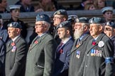 RAF Linguists' Associations (RAFLing) (Group C6, 20 members) during the Royal British Legion March Past on Remembrance Sunday at the Cenotaph, Whitehall, Westminster, London, 11 November 2018, 12:15.