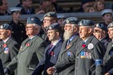 RAF Linguists' Associations (RAFLing) (Group C6, 20 members) during the Royal British Legion March Past on Remembrance Sunday at the Cenotaph, Whitehall, Westminster, London, 11 November 2018, 12:15.