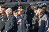 The Blenheim Society (Group C16, 15 members) during the Royal British Legion March Past on Remembrance Sunday at the Cenotaph, Whitehall, Westminster, London, 11 November 2018, 12:17.