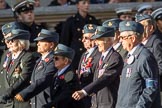 RAF Air Loadmasters Association (Group C21, 25 members) during the Royal British Legion March Past on Remembrance Sunday at the Cenotaph, Whitehall, Westminster, London, 11 November 2018, 12:17.