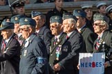 RAF Air Loadmasters Association (Group C21, 25 members) during the Royal British Legion March Past on Remembrance Sunday at the Cenotaph, Whitehall, Westminster, London, 11 November 2018, 12:17.