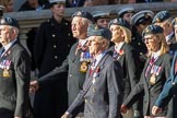 Harrier Force Association (Group C25, 100 members) during the Royal British Legion March Past on Remembrance Sunday at the Cenotaph, Whitehall, Westminster, London, 11 November 2018, 12:18.