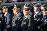 Harrier Force Association (Group C25, 100 members) during the Royal British Legion March Past on Remembrance Sunday at the Cenotaph, Whitehall, Westminster, London, 11 November 2018, 12:18.