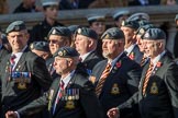 Harrier Force Association (Group C25, 100 members) during the Royal British Legion March Past on Remembrance Sunday at the Cenotaph, Whitehall, Westminster, London, 11 November 2018, 12:18.