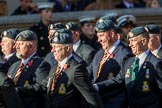 Harrier Force Association (Group C25, 100 members) during the Royal British Legion March Past on Remembrance Sunday at the Cenotaph, Whitehall, Westminster, London, 11 November 2018, 12:18.