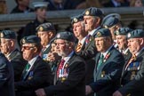 Harrier Force Association (Group C25, 100 members) during the Royal British Legion March Past on Remembrance Sunday at the Cenotaph, Whitehall, Westminster, London, 11 November 2018, 12:18.