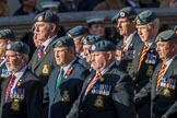 Harrier Force Association (Group C25, 100 members) during the Royal British Legion March Past on Remembrance Sunday at the Cenotaph, Whitehall, Westminster, London, 11 November 2018, 12:18.