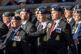 Harrier Force Association (Group C25, 100 members) during the Royal British Legion March Past on Remembrance Sunday at the Cenotaph, Whitehall, Westminster, London, 11 November 2018, 12:18.