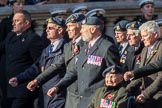 PJI Canopy Club Association (Group C32, 22 members) during the Royal British Legion March Past on Remembrance Sunday at the Cenotaph, Whitehall, Westminster, London, 11 November 2018, 12:19.