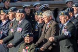 PJI Canopy Club Association (Group C32, 22 members) during the Royal British Legion March Past on Remembrance Sunday at the Cenotaph, Whitehall, Westminster, London, 11 November 2018, 12:19.