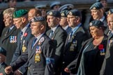 Royal Air Force Servicing Commando and Tactical Supply Wing Association (Group C36, 50 members) during the Royal British Legion March Past on Remembrance Sunday at the Cenotaph, Whitehall, Westminster, London, 11 November 2018, 12:20.
