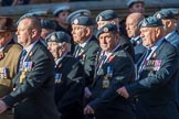 Royal Air Force Servicing Commando and Tactical Supply Wing Association (Group C36, 50 members) during the Royal British Legion March Past on Remembrance Sunday at the Cenotaph, Whitehall, Westminster, London, 11 November 2018, 12:20.