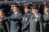 Royal Observer Corps Association (Group C38, 67 members) during the Royal British Legion March Past on Remembrance Sunday at the Cenotaph, Whitehall, Westminster, London, 11 November 2018, 12:20.