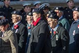 Royal Observer Corps Association (Group C38, 67 members) during the Royal British Legion March Past on Remembrance Sunday at the Cenotaph, Whitehall, Westminster, London, 11 November 2018, 12:20.