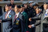 Allied Command in Europe Mobile Force AMF(L) (Group D13, 61 members) during the Royal British Legion March Past on Remembrance Sunday at the Cenotaph, Whitehall, Westminster, London, 11 November 2018, 12:22.