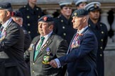 Allied Command in Europe Mobile Force AMF(L) (Group D13, 61 members) during the Royal British Legion March Past on Remembrance Sunday at the Cenotaph, Whitehall, Westminster, London, 11 November 2018, 12:22.