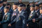 The Royal British Legion (Group D15, 150 members) during the Royal British Legion March Past on Remembrance Sunday at the Cenotaph, Whitehall, Westminster, London, 11 November 2018, 12:22.