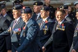 The Royal British Legion (Group D15, 150 members) during the Royal British Legion March Past on Remembrance Sunday at the Cenotaph, Whitehall, Westminster, London, 11 November 2018, 12:22.