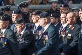 The Royal British Legion (Group D15, 150 members) during the Royal British Legion March Past on Remembrance Sunday at the Cenotaph, Whitehall, Westminster, London, 11 November 2018, 12:22.