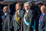 The Royal Antediluvian Order of Buffaloes (Group D24, 12 members) during the Royal British Legion March Past on Remembrance Sunday at the Cenotaph, Whitehall, Westminster, London, 11 November 2018, 12:24.