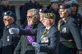 The Royal Antediluvian Order of Buffaloes (Group D24, 12 members) during the Royal British Legion March Past on Remembrance Sunday at the Cenotaph, Whitehall, Westminster, London, 11 November 2018, 12:24.