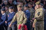 RAF- and Army Cadets (Group M35, ?? members) during the Royal British Legion March Past on Remembrance Sunday at the Cenotaph, Whitehall, Westminster, London, 11 November 2018, 12:29.