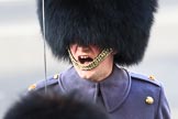 A Coldstream Guards Major commands his group of the Service detachment from the Army before the Remembrance Sunday Cenotaph Ceremony 2018 at Horse Guards Parade, Westminster, London, 11 November 2018, 10:27.