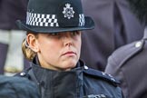 Metropolitan Police Constable Snell keeping an eye on the crowds before the Remembrance Sunday Cenotaph Ceremony 2018 at Horse Guards Parade, Westminster, London, 11 November 2018, 10:29.