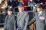 ??? during Remembrance Sunday Cenotaph Ceremony 2018 at Horse Guards Parade, Westminster, London, 11 November 2018, 11:28.