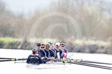 The Boat Race season 2012 - OUBC training: Cox Zoe de Toledo, stroke Roel Haen, 7 Dan Harvey, 6 Dr. Hanno Wienhausen, 5 Karl Hudspith, 4 Alexander Davidson, 3 Kevin Baum, 2 William Zeng, and bow Dr. Alexander Woods..


Oxfordshire,
United Kingdom,
on 20 March 2012 at 15:24, image #39