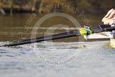 The Boat Race season 2012 - OUBC training: Detail shot of rowing at a professional standard - arms and oars..


Oxfordshire,
United Kingdom,
on 20 March 2012 at 15:49, image #53