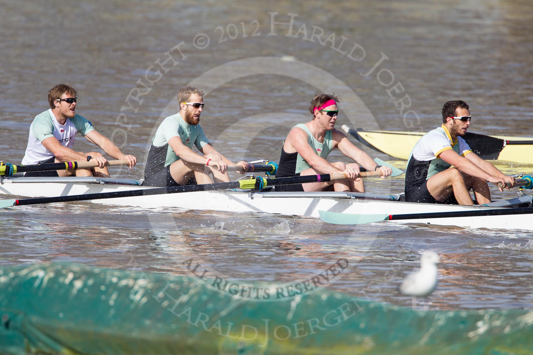 The Boat Race season 2012 - fixture CUBC vs Molesey BC: In the CUBC Blue Boat, racing Molesey BC, here bow David Nelson, Moritz Schramm, Jack Lindeman, and Alex Ross..




on 25 March 2012 at 15:19, image #127