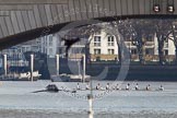 The Boat Race season 2012 - fixture CUBC vs Molesey BC: The CUBC Blue Boat waiting behind Putney Bridge for the start of the fixture against Molesey BC, their boat, in the shadow of Putney Bridge, on the left..




on 25 March 2012 at 15:15, image #96