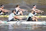 The Boat Race season 2012 - fixture CUBC vs Molesey BC: In the CUBC Blue Boat, racing Molesey BC, here bow David Nelson and Moritz Schramm..




on 25 March 2012 at 15:19, image #121