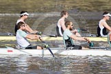 The Boat Race season 2012 - fixture CUBC vs Molesey BC: In the CUBC Blue Boat, racing Molesey BC, here bow David Nelson and Moritz Schramm..




on 25 March 2012 at 15:19, image #122