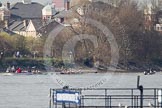 The Boat Race season 2012 - fixture CUBC vs Molesey BC: The CUBC Blue Boat on the left, the Molesey BC Eight on the right, behind them umpire Boris Rankov..




on 25 March 2012 at 15:21, image #143