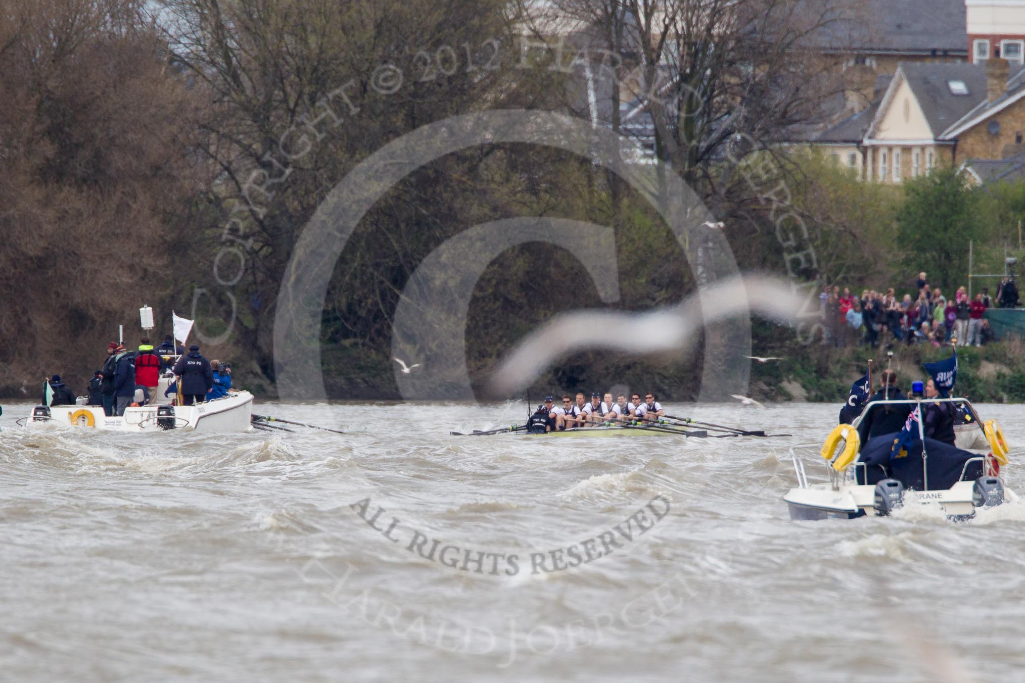 The Boat Race 2012: The 2012 Boat Race, with the boats approaching the Mile Post: The Cambridge Blue Boat on the left, nearly covered by the boat of the umpire, and the Oxford Blue Boat on the right..




on 07 April 2012 at 14:18, image #288