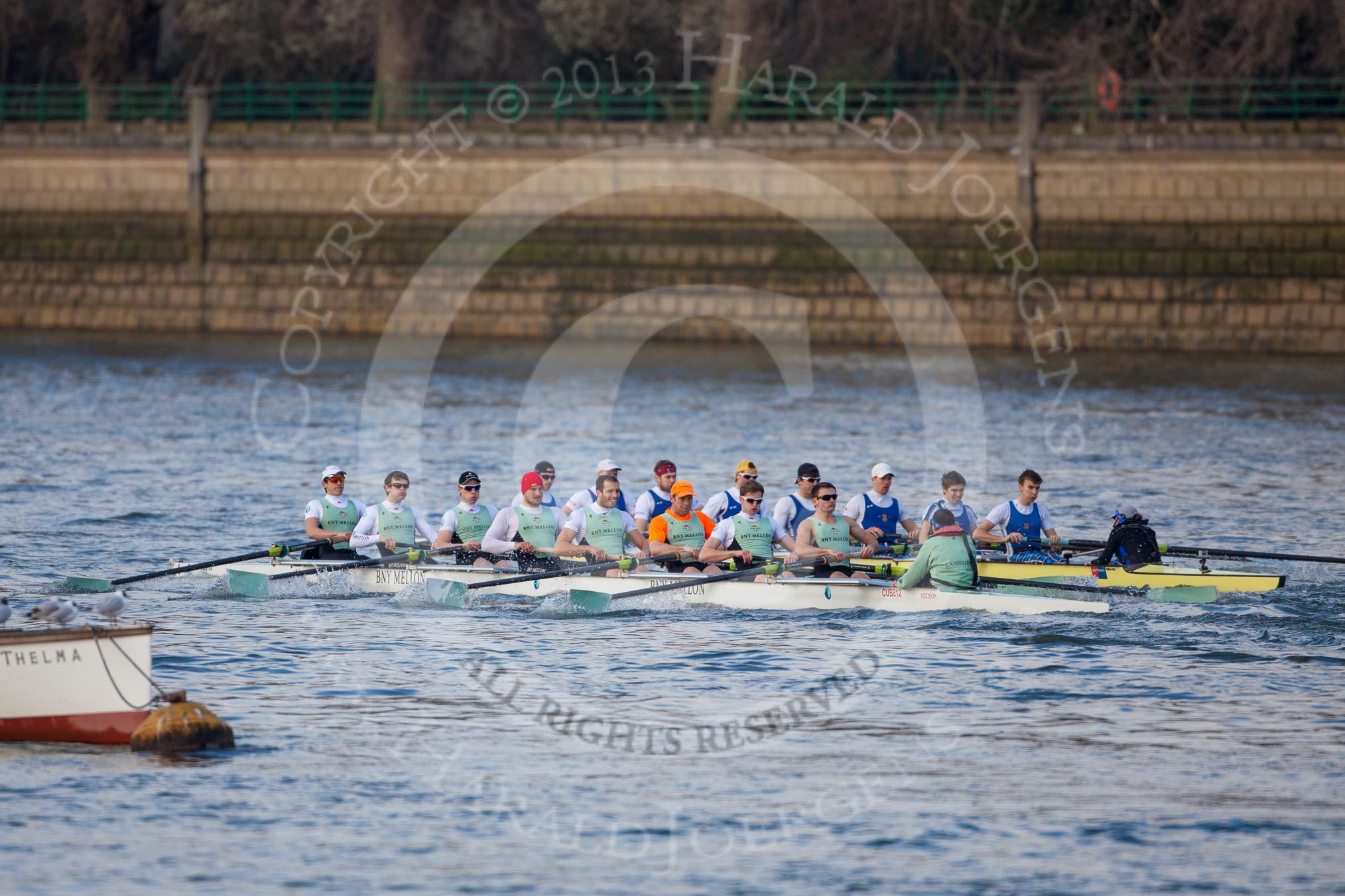The Boat Race season 2013 - fixture CUBC vs Leander: The Goldie vs Imperial BC fixture..
River Thames Tideway between Putney Bridge and Mortlake,
London SW15,

United Kingdom,
on 02 March 2013 at 15:23, image #55