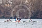 The Boat Race season 2013 - fixture CUBC vs Leander.
River Thames Tideway between Putney Bridge and Mortlake,
London SW15,

United Kingdom,
on 02 March 2013 at 15:59, image #156